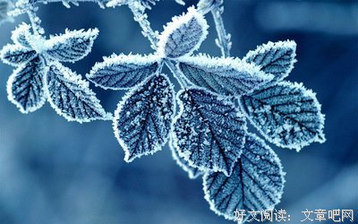 喜欢优美的句子