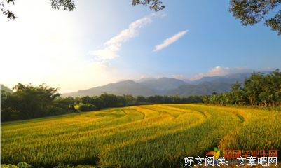 关于柳薇薇的优美句子