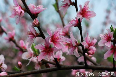 经典片段的优美句子