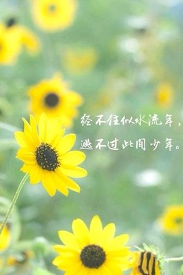 木心经典的句子