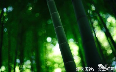 《辞赋》的句子