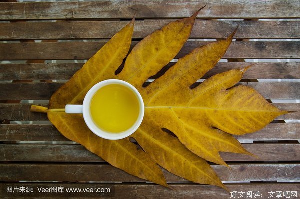 关于七里香的格言