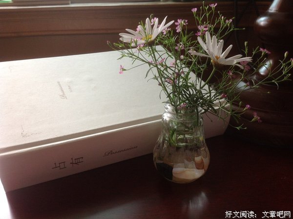 关于一盘散沙的格言