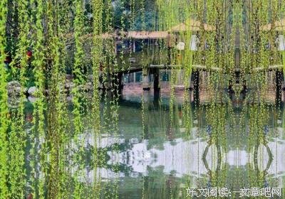 个 经典名句
