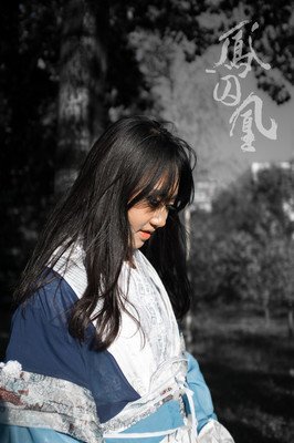 凤囚凰优美的句子