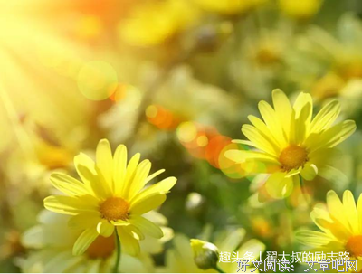 余生愿经典的句子