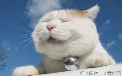 《历史的温度》经典语句