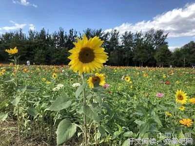 离你最近的三个人，决定了你人生的走向