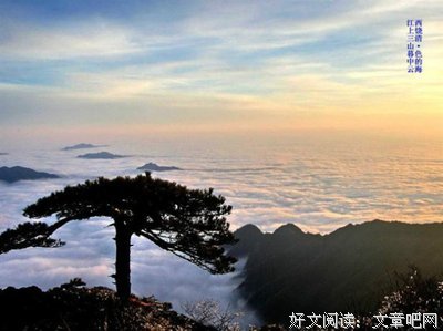 独花自赏，民好感叹！抬头望生第，空感慨！经典名句