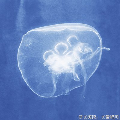 流年未亡，夏日已尽句子