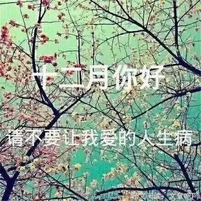 说说的优美句子