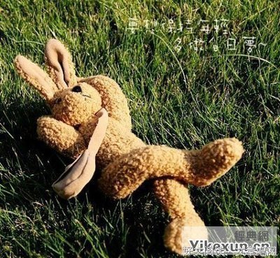用心体是发经典的句子