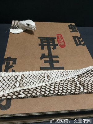 我害怕被喜欢的人伤害