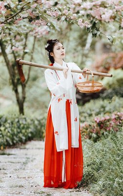 葬花经典的句子