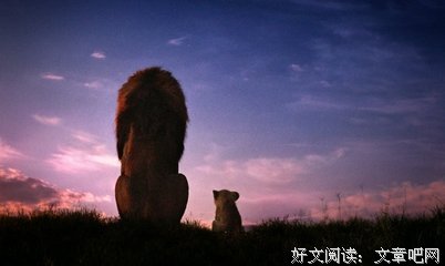 《狮子王》经典影评集