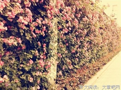 青春句子大全