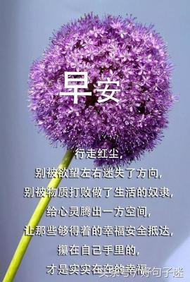 正能量的优美句子