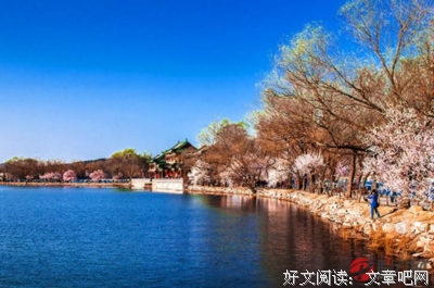 关于美，不过半盏晨光。的句子
