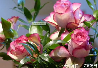非凡人生经典的句子