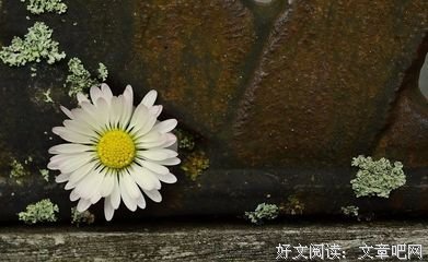 触碰句子大全