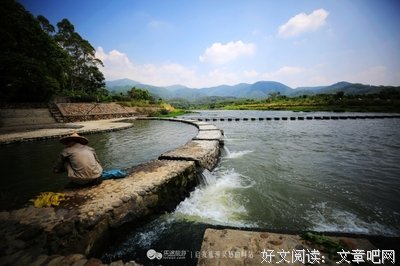 《匆匆流年逝把着》的句子