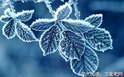 莫一作莫忘经典的句子