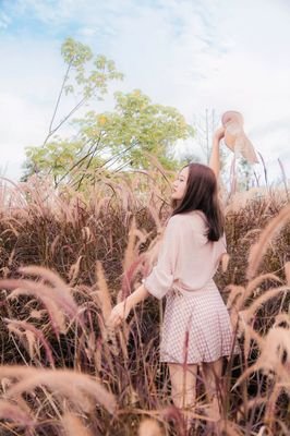 青春是一树花开