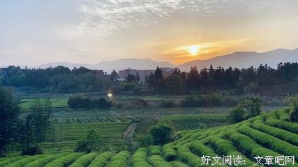 避世的语句摘抄_关于避世的语句