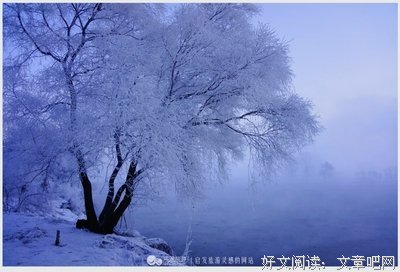 关于灵慧的唯美语录