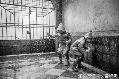 保姆做偷摸事，还邀我看直播