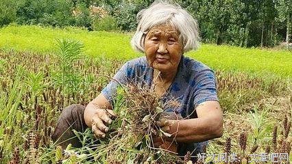 少奶奶99次出逃的优美句子