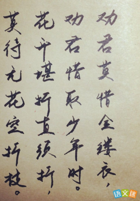 优美古诗鉴赏