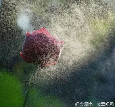 《寂寞后风涯》的句子