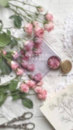 《随上心》的句子