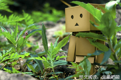 《纠结》的句子