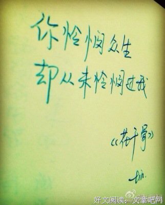 《你配得上这也子国这着用间所有的好》经典语录