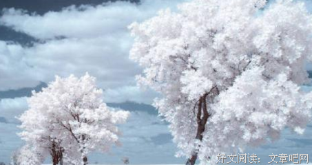 关于没有人心疼的伤心不值钱的优美句子