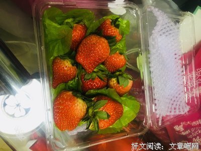 草莓菠萝蜜柠檬好词好句
