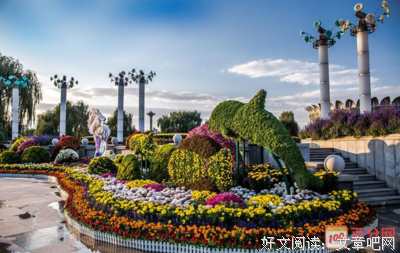 《转型团伙》经典观后感10篇