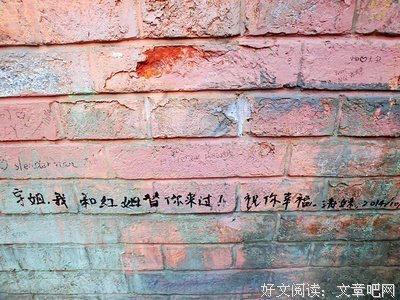最新的《IQ265恋人搜查官》经典名句