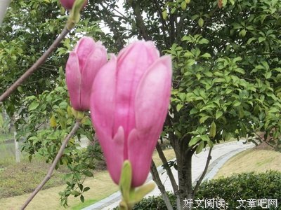学会才当亮把我忘了经典名句