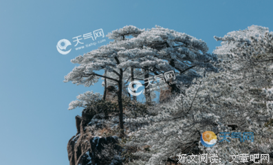 关于priest的句子
