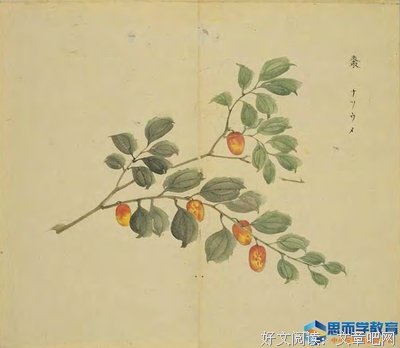 临界ONE·１飞驰的灵魂经典读后感10篇