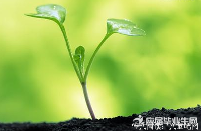 关于象形文字的名句摘抄