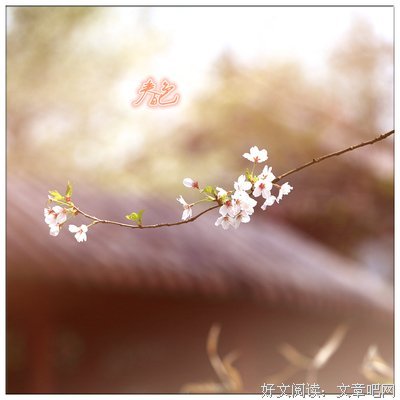 15条关于从容的经典语句