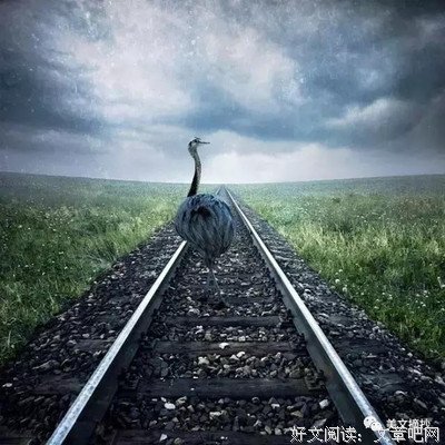 关于搬弄是非的名句摘抄