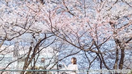 谈钱，最能看清一个人！
