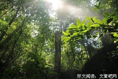 千千的句子