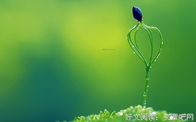 喜欢你得时不是爱你经典的句子