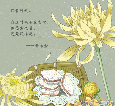 关于普希金的格言